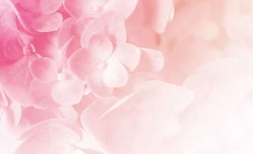 セラピストイメージ